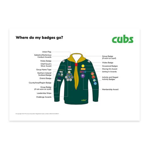 Uniform Badge Placement Diagram/Poster (Cubs) – Basingstoke Scout Shop