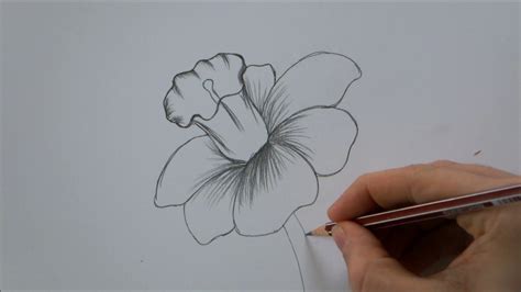 How To Draw a Flower step by step In 6 Minutes! - YouTube