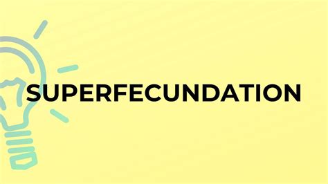 What is the meaning of the word SUPERFECUNDATION? - YouTube