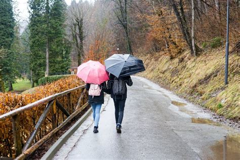 Rainy Day and People with Umbrellas Stock Photo - Image of paris, metal: 112647728