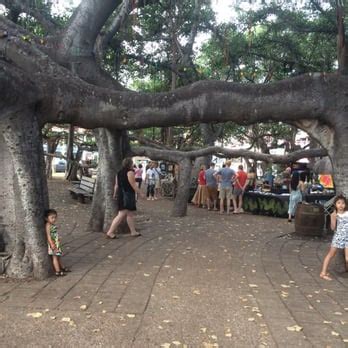 Lahaina Banyan Court Park - 321 Photos & 141 Reviews - Landmarks ...