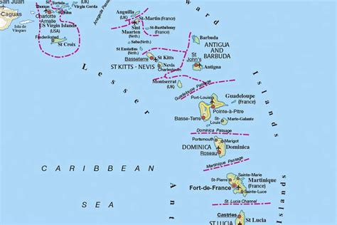 Ecosystems of the Lesser Antilles | Insight Guides Blog