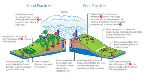 Salinity - Biology Resources