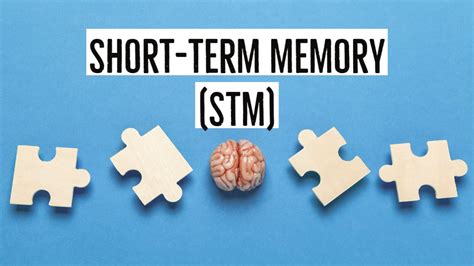 Short-Term Memory In Psychology: Types, Duration & Capacity