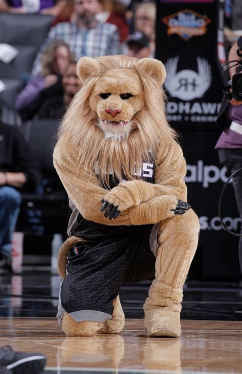 A ranked list of all NBA mascots: Who is the best mascot in basketball? - SportsBrief.com