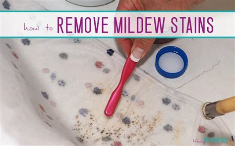 How to Remove Mildew from Colored Clothes? - My Heart Lives Here