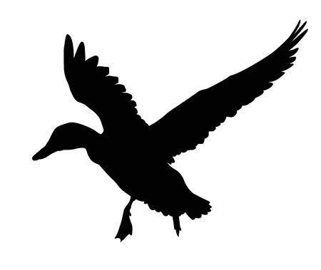 Flying duck silhouette. Vector EPS 8 | Duck silhouette, Silhouette vector, Duck