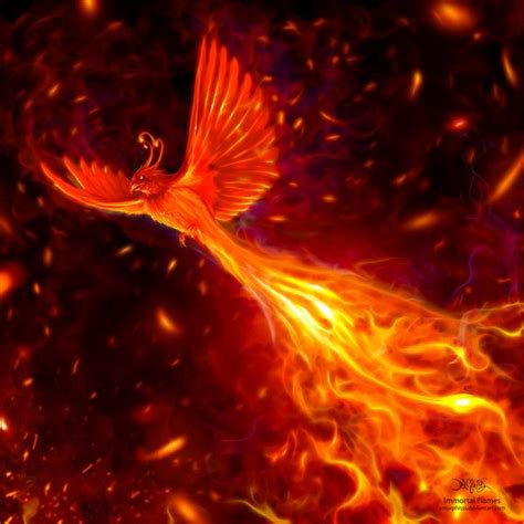 Immortal Flames | Phoenix artwork, Phoenix art, Phoenix bird