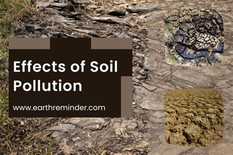 Control Of Soil Pollution Various Causes Of Soil Pollution | The Best Porn Website