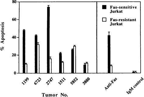 Apoptosis of Fas-sensitive or Fas-resistant Jurkat cells by OvCA cells ...