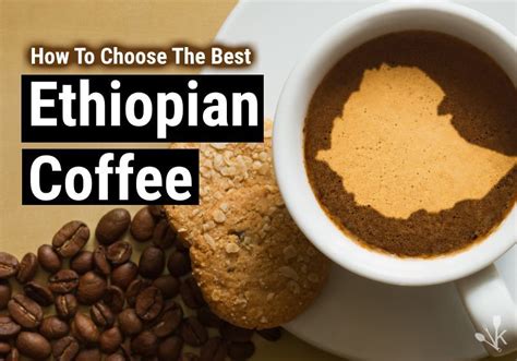 Best Ethiopian Coffee Beans (Top Brands Reviewed) | KitchenSanity