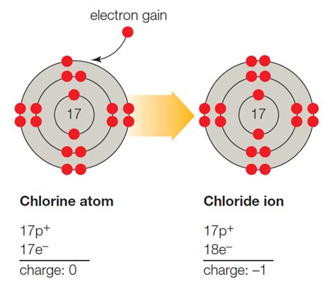 B. A chlorine atom (Cl) becomes a negatively charged chloride ion (Cl − ...