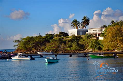 About Vieques, Puerto Rico - Information about Vieques, PR