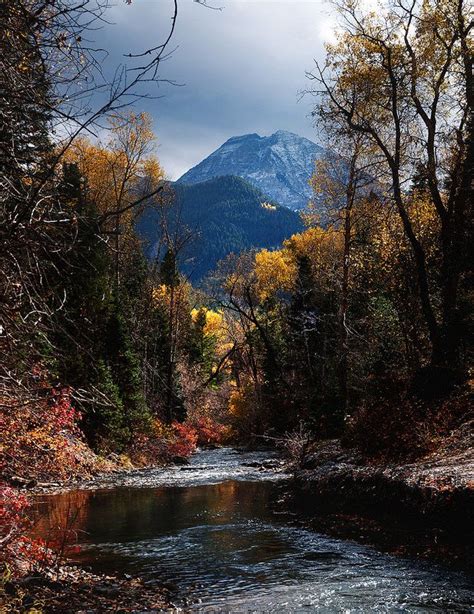 Fall Colors in American Fork Canyon-3527 | American fork canyon, Park city utah, Landscape