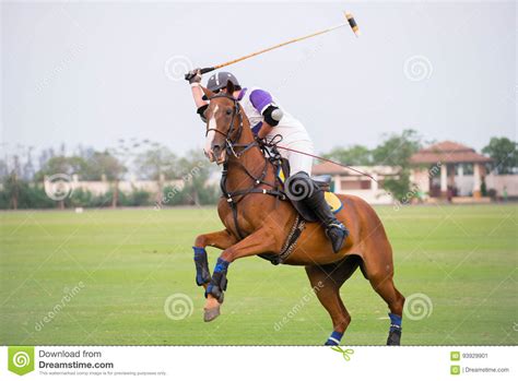 Polo player stock image. Image of ball, power, fight - 93929901