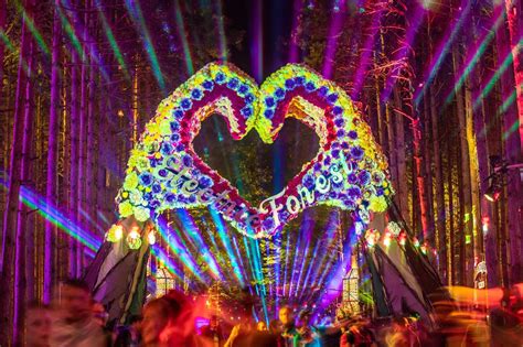 Image result for Electric Forest. Music Festival Smmer 2018 | Electric ...