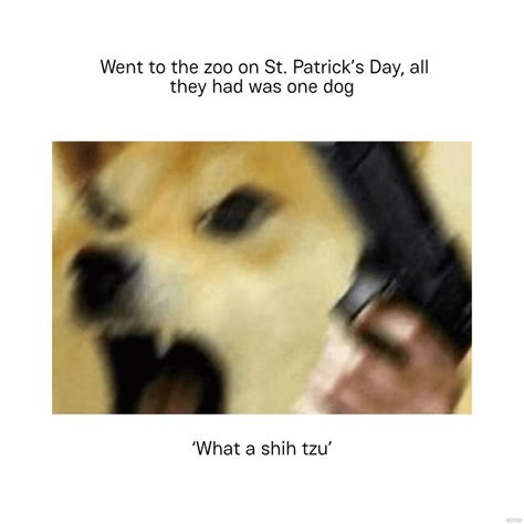 St Patrick's Day Dog Meme in JPEG - Download | Template.net