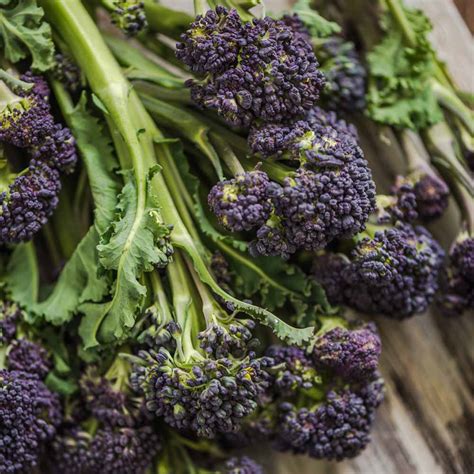 Broccoli 'Purple Sprouting Continuity Mix' - Seeds | Suttons