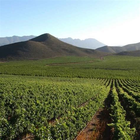 The Robertson wine valley – home to fine wines | wine.co.za