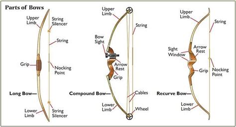 An Illustration of the Different Parts of a Genesis Bow