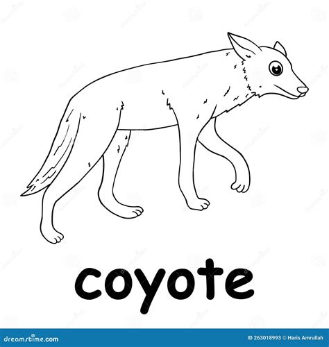 Kids Line Illustration Coloring Coyote. Animal Outline Stock Vector - Illustration of cartoon ...