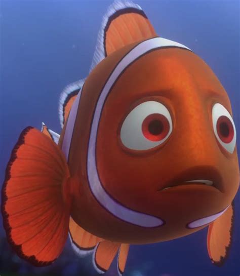 Marlin Finding Nemo Coral Barracuda