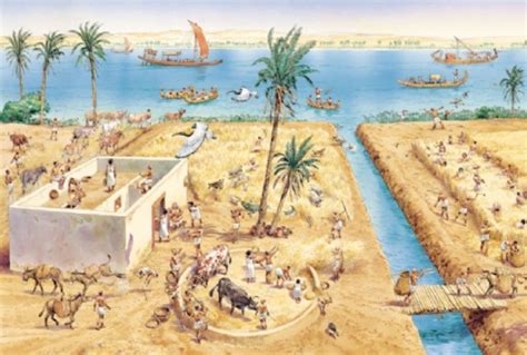 Ancient Egyptian Irrigation Systems