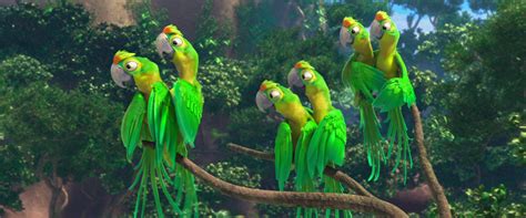 Image - Real in Rio parrots.png | Rio Wiki | FANDOM powered by Wikia