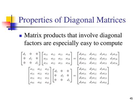 PPT - Review on Linear Algebra PowerPoint Presentation, free download ...