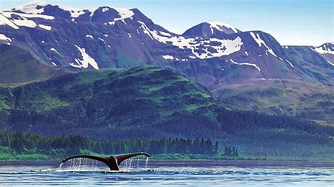 Juneau, Alaska, Points of Interest Tours - Princess Cruises