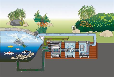 The Need for a Koi Pond Filter System. Guidelines On Subject