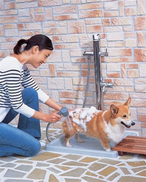 Dog washing station ideas – a practical necessity for the home