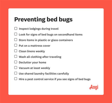 Top 10 Bed Bug Prevention Tips: How to Keep Your Home Infestation-Free ...