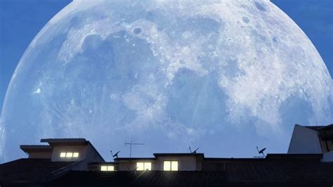 Big Moon by https://mclelun.deviantart.com on @DeviantArt | Big moon, Scenery, Big art