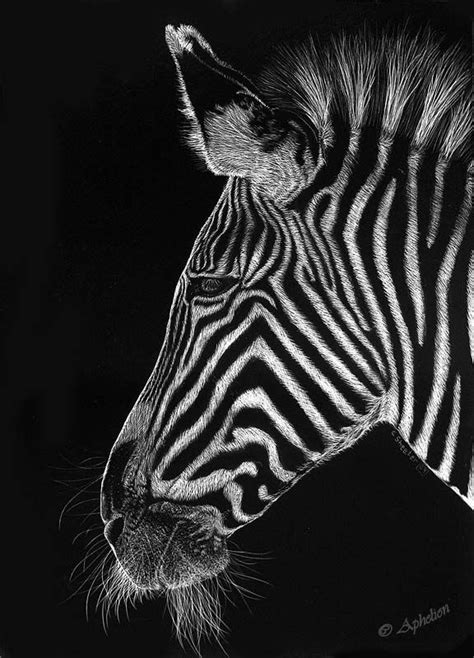 The scratchboard art below is a... - Page 2 - WetCanvas | Scratchboard ...