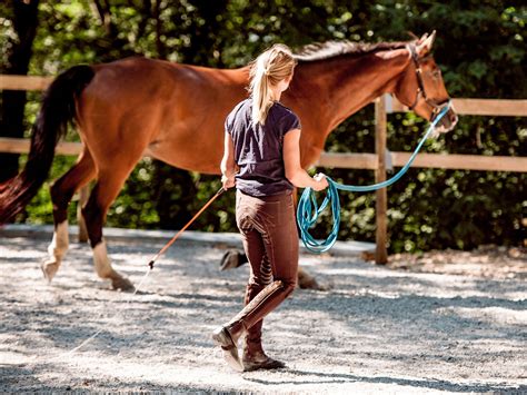 Lunge A Horse: Meaning, Benefits, And How To Do It Correctly