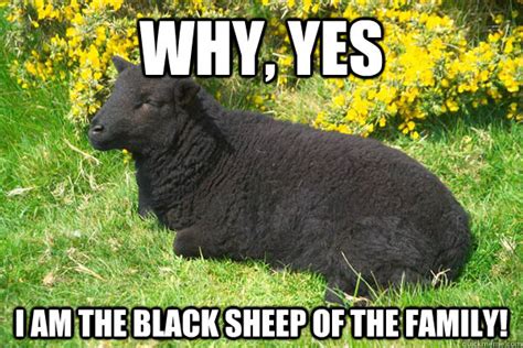 Why, Yes I am the black sheep of the family! - Misc - quickmeme