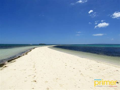 Virgin Island in Panglao is One of Bohol’s Most Picturesque Views ...