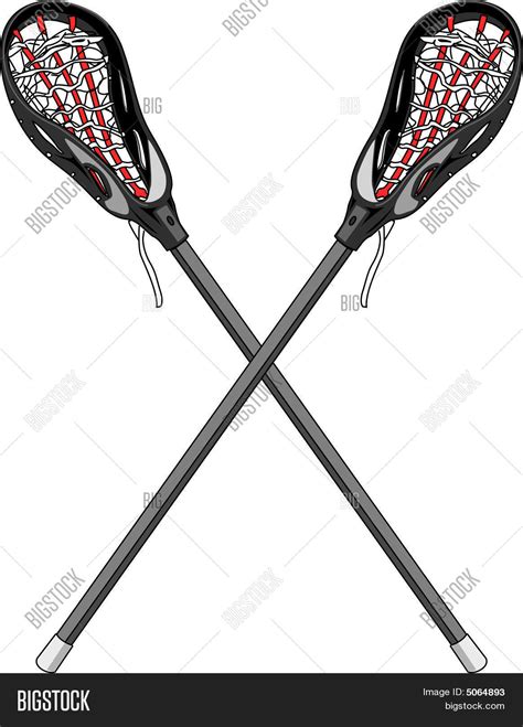 Lacrosse Sticks Vector & Photo (Free Trial) | Bigstock