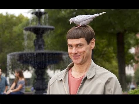 Dumb and Dumber 2 Movie trailer : Teaser Trailer