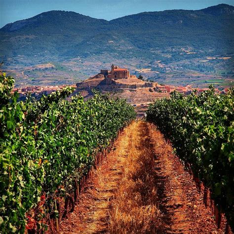 The Best Vineyards in La Rioja | Instagram, La rioja, Rioja