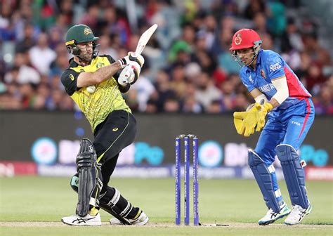 AUS vs AFG, CWC 2023: All You Need To Know As Both Teams Aim For Top ...