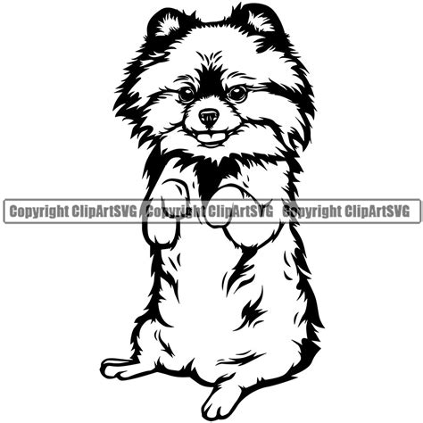 Pomeranian Clipart - Adorable Dog Illustrations for Your Projects