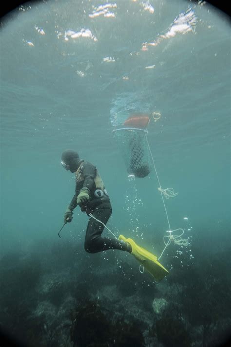 HAENYEO, SEA WOMEN DIVERS - JEJU ISLAND, SOUTH KOREA