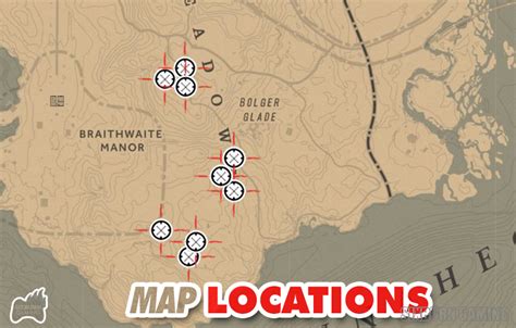 Panther location rdr2 online