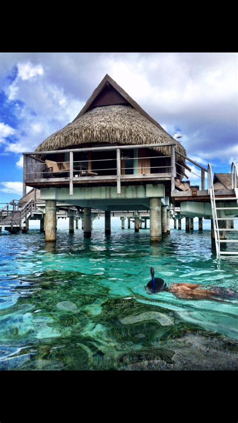 The overwater bungalow at Sofitel moorea | Overwater bungalows, Places ...