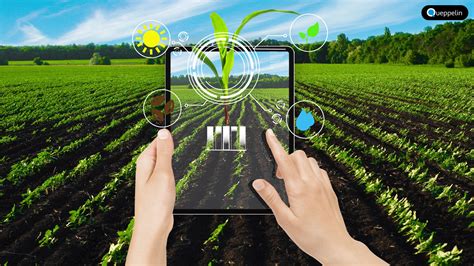 Augmented Reality In Agriculture – Queppelin