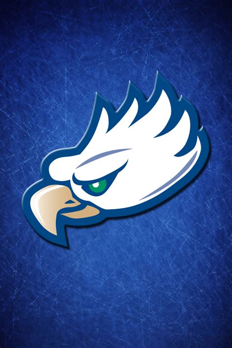 🔥 Free Download Fgcu Wallpaper Athletics by @myoder44 | WallpaperSafari