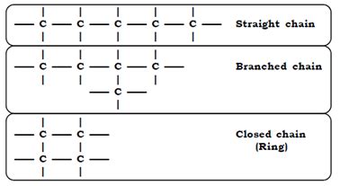 OMTEX CLASSES: Write short notes on : Catenation