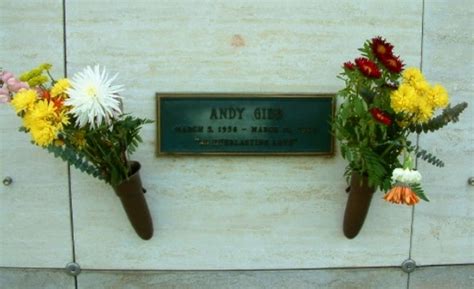 BeeGees Little brother Andy Gibb grave site | Andy gibb, Tombstone, Graveyard